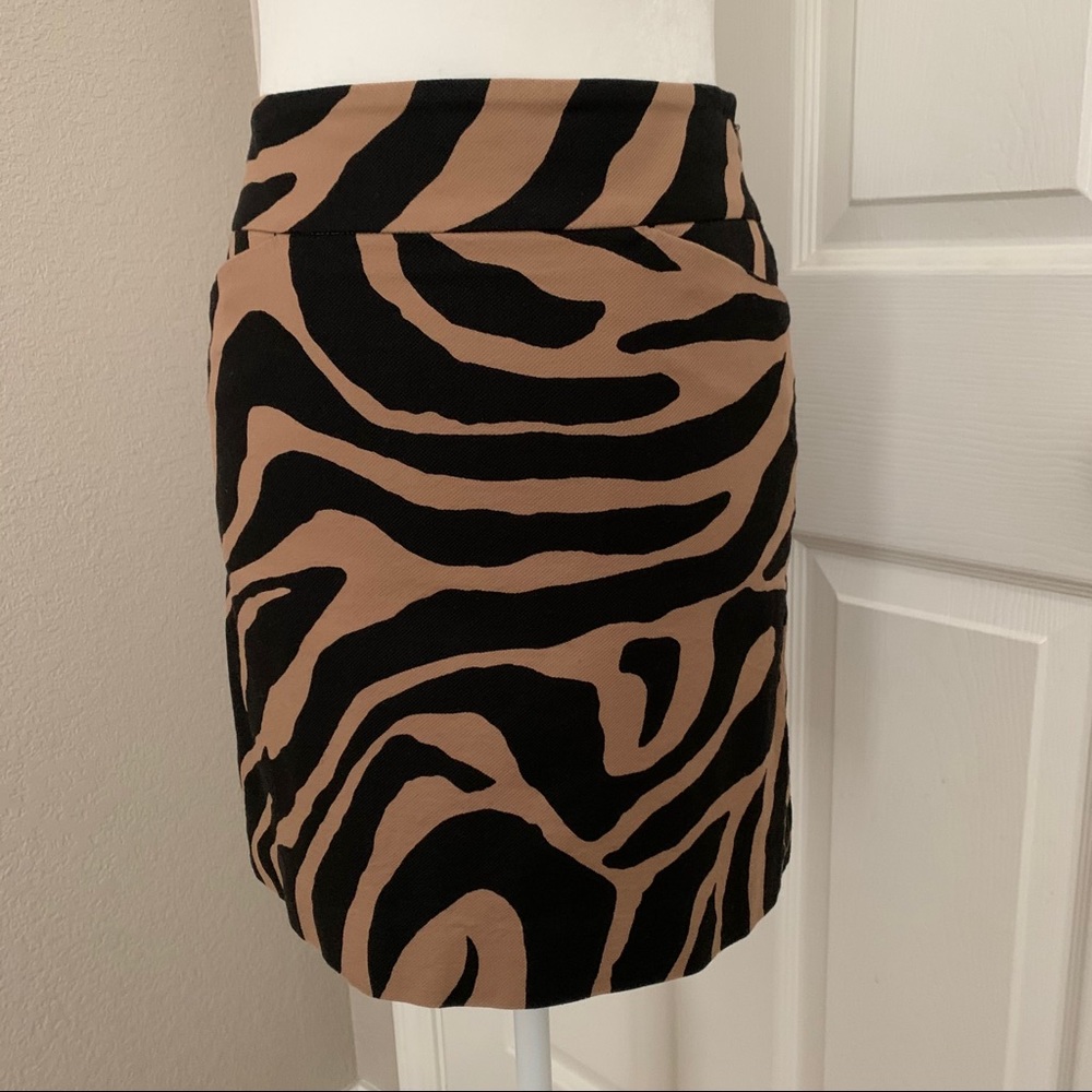 Mini Skirt